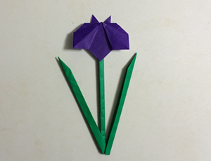 折り紙の菖蒲 あやめ の簡単な作り方 立体 平面 折り紙オンライン