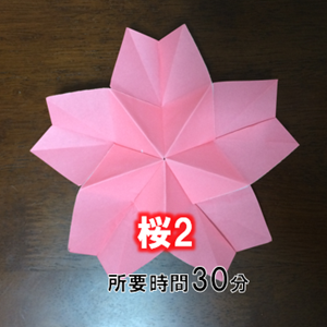 上折り紙 桜の 花 最高の花の画像