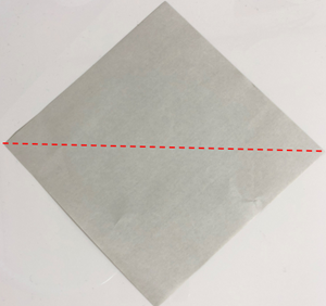 折り紙の ハト の簡単な折り方 折り紙オンライン
